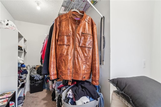 walk in closet featuring light carpet