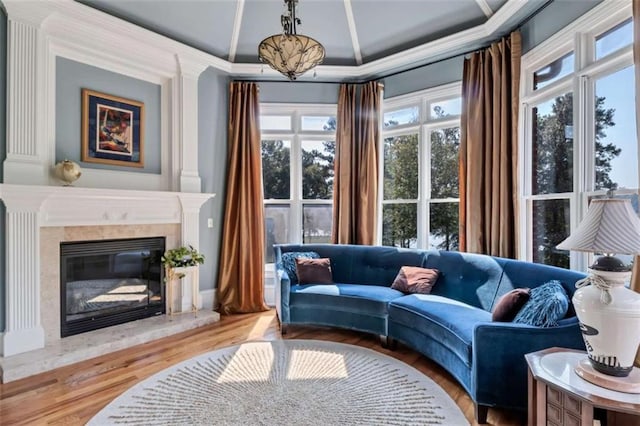 interior space with crown molding, wood finished floors, plenty of natural light, and a premium fireplace