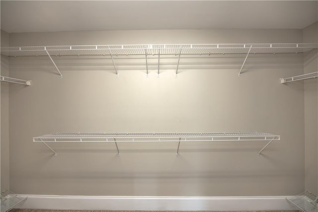 view of walk in closet