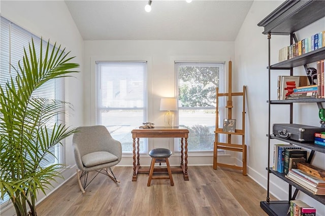 sitting room featuring lofted ceiling, light hardwood / wood-style floors, and a wealth of natural light