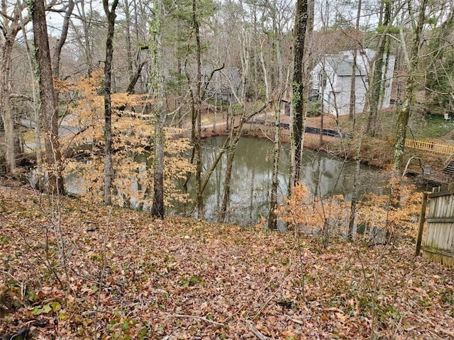 view of water feature