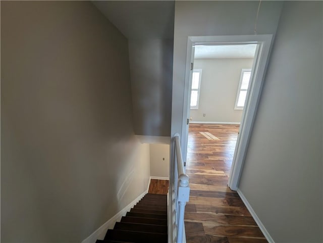 staircase featuring wood-type flooring