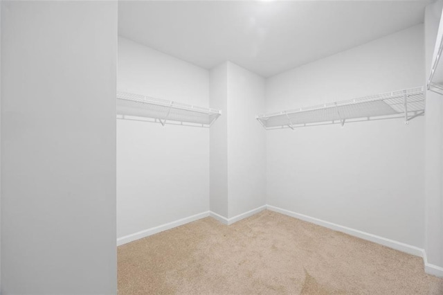 spacious closet with carpet floors