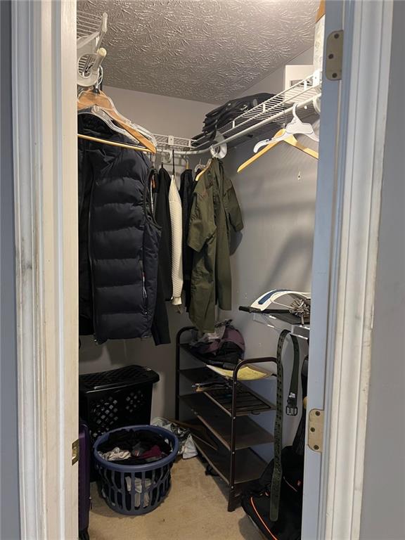 spacious closet with carpet