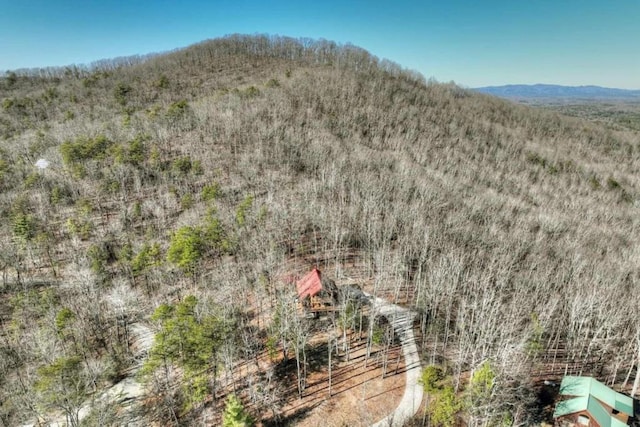 birds eye view of property featuring a mountain view