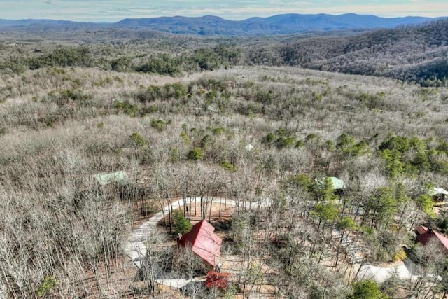 birds eye view of property featuring a mountain view