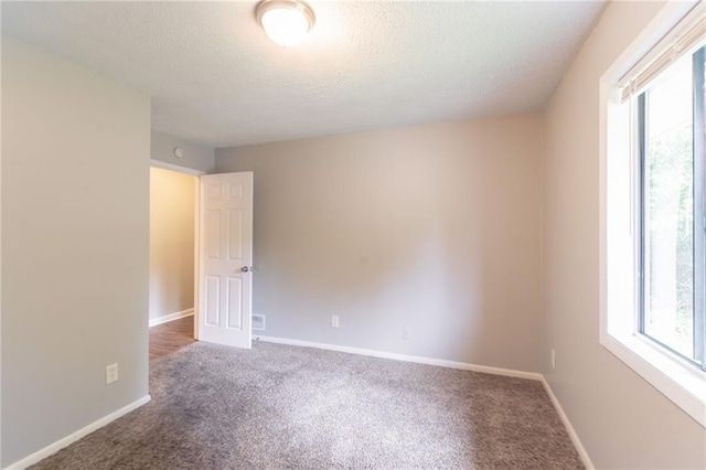 unfurnished room with a textured ceiling, carpet, and a healthy amount of sunlight