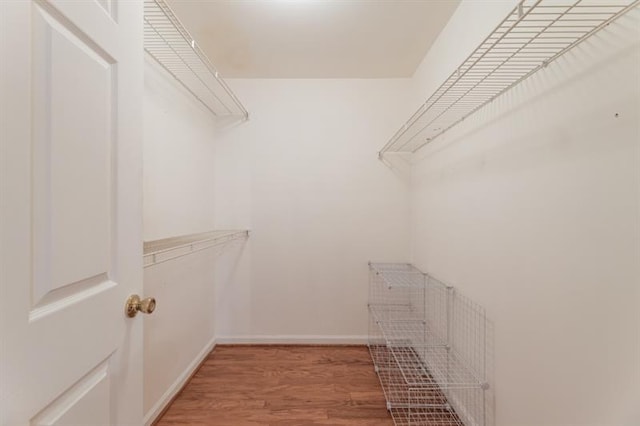 spacious closet featuring hardwood / wood-style flooring