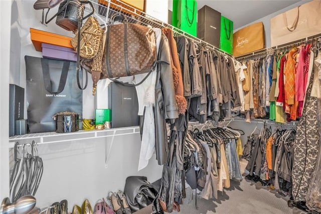 spacious closet with carpet