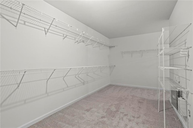 walk in closet featuring light colored carpet