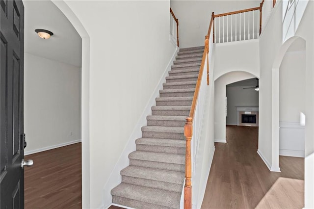 entrance foyer featuring a high ceiling, dark hardwood / wood-style flooring, and ceiling fan