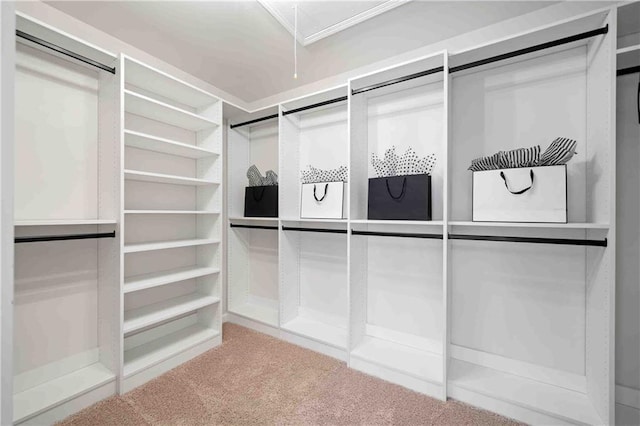 139 Thunder Ridge Ln, Acworth, GA 30101 - spacious closet with carpet and attic access