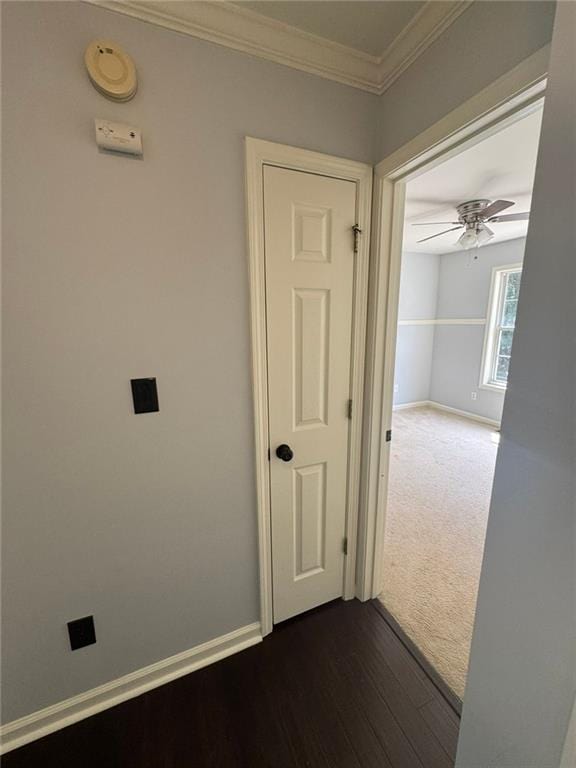 955 Tributary Way, Dacula, GA 30019 - hall featuring dark wood-type flooring, ornamental molding, and dark colored carpet