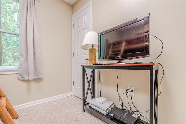 45 Chestatee River Rdg NE, Dahlonega, GA 30533 - detailed view of carpet floors and baseboards
