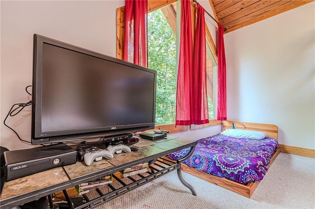45 Chestatee River Rdg NE, Dahlonega, GA 30533 - bedroom featuring multiple windows and baseboards