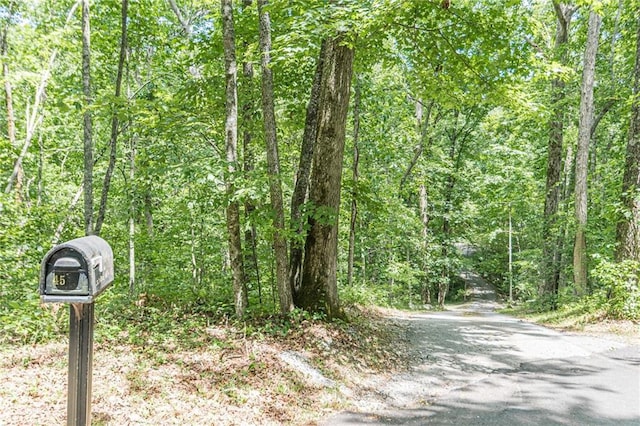 45 Chestatee River Rdg NE, Dahlonega, GA 30533 - view of asphalt road featuring a forest view