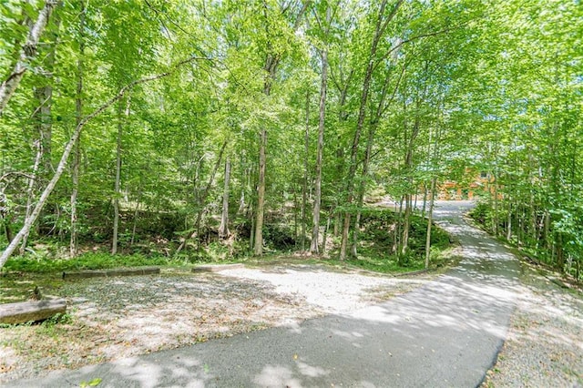 45 Chestatee River Rdg NE, Dahlonega, GA 30533 - view of street with a forest view