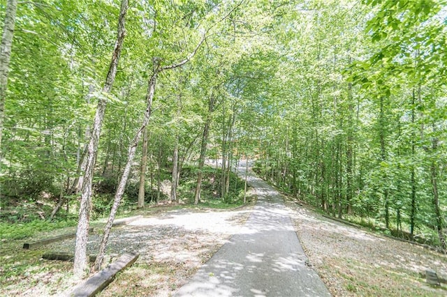 45 Chestatee River Rdg NE, Dahlonega, GA 30533 - view of road featuring a wooded view
