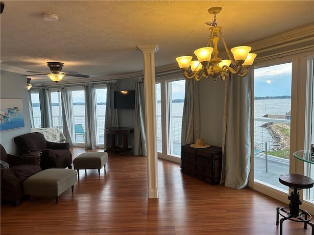 sitting room with a healthy amount of sunlight, dark wood-style floors, and a textured ceiling