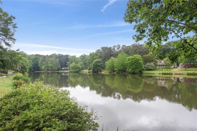 water view with a heavily wooded area