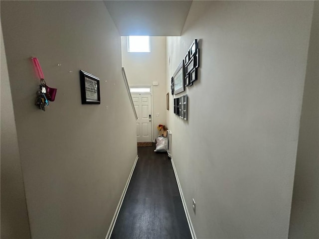 hallway with a mail area, dark hardwood / wood-style floors, and a high ceiling