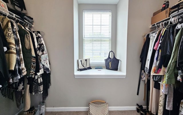 walk in closet featuring carpet