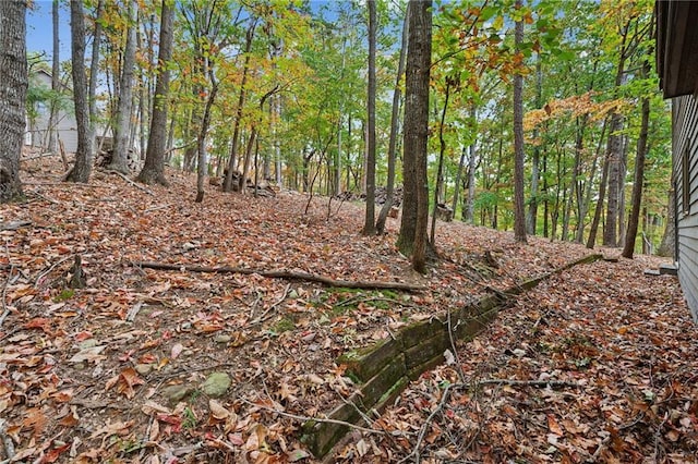 view of local wilderness