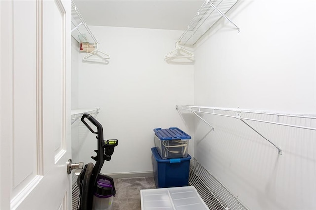 walk in closet featuring carpet flooring