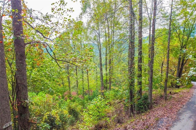 Listing photo 3 for 0 Summit Trl, Hiawassee GA 30546