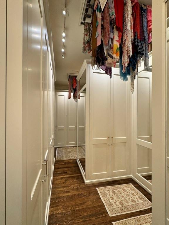 walk in closet with dark wood-type flooring