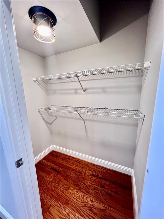 walk in closet with wood-type flooring