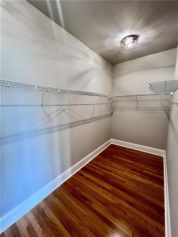 walk in closet with wood-type flooring