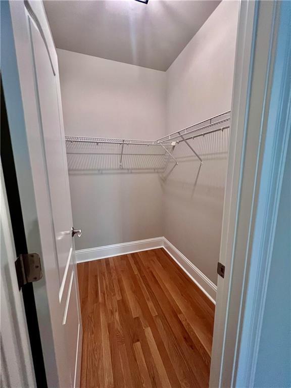 spacious closet with hardwood / wood-style flooring