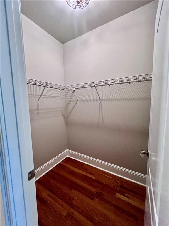 spacious closet featuring dark wood-type flooring