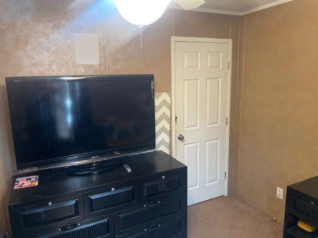 1167 Underwood Rd, Sparta, GA 31087 - detailed view of carpet flooring and crown molding