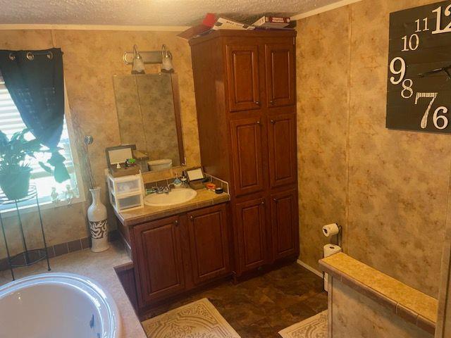1167 Underwood Rd, Sparta, GA 31087 - bathroom with a textured ceiling, vanity, a bathtub, and crown molding