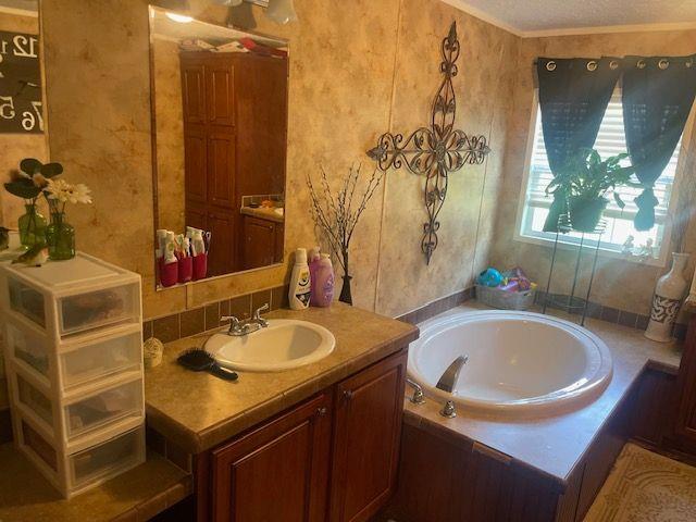 1167 Underwood Rd, Sparta, GA 31087 - bathroom featuring vanity and a bath