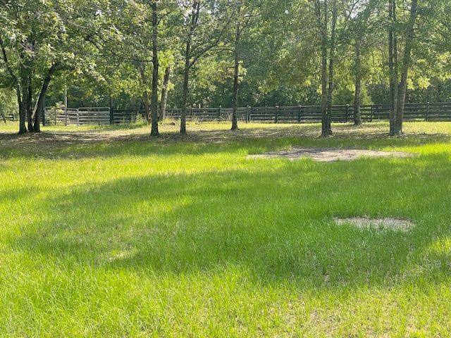 1167 Underwood Rd, Sparta, GA 31087 - view of yard