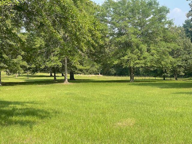 1167 Underwood Rd, Sparta, GA 31087 - surrounding community with a yard