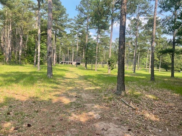 1167 Underwood Rd, Sparta, GA 31087 - view of yard
