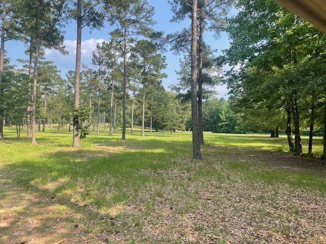 1167 Underwood Rd, Sparta, GA 31087 - view of grassy yard