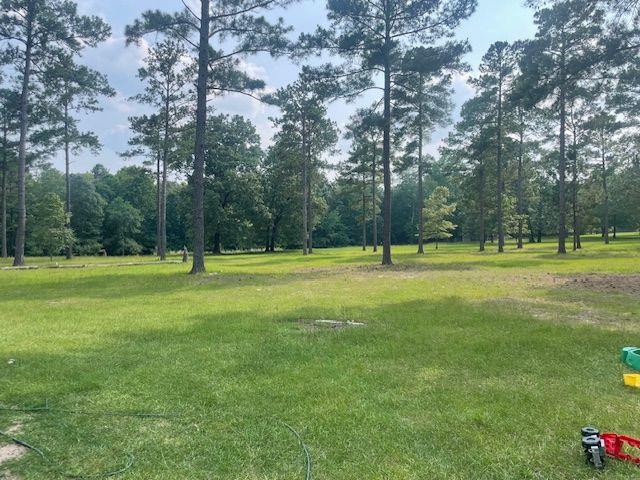 1167 Underwood Rd, Sparta, GA 31087 - view of green lawn featuring a wooded view