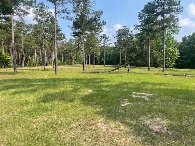 1167 Underwood Rd, Sparta, GA 31087 - view of yard featuring a forest view