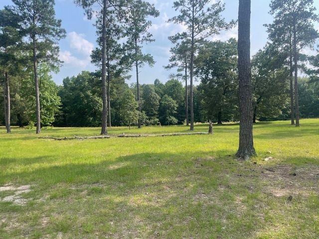 1167 Underwood Rd, Sparta, GA 31087 - view of grassy yard