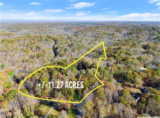 305 Mountain Brook Rd, Dawsonville, GA 30534 - bird's eye view with a forest view