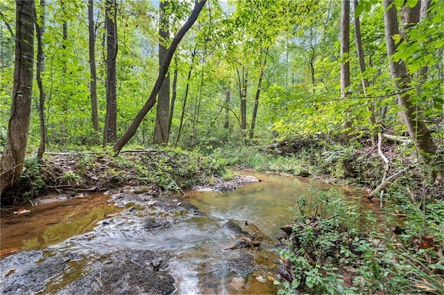 305 Mountain Brook Rd, Dawsonville, GA 30534 - view of nature with a wooded view