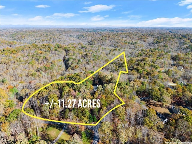 305 Mountain Brook Rd, Dawsonville, GA 30534 - birds eye view of property with a view of trees