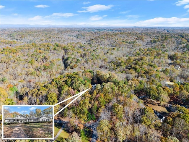 305 Mountain Brook Rd, Dawsonville, GA 30534 - birds eye view of property featuring a view of trees