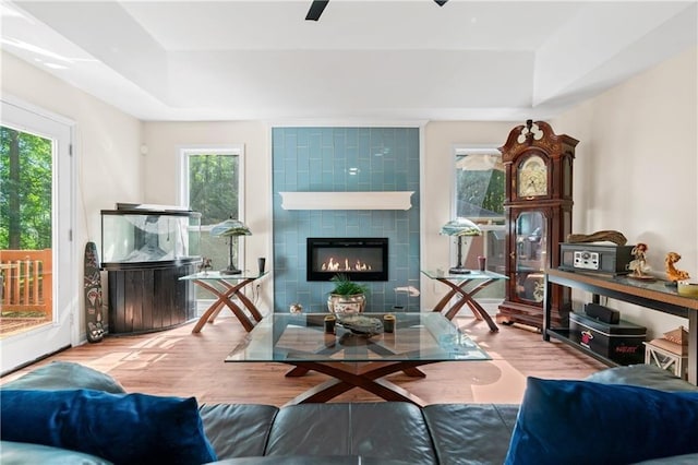 living room with a fireplace, a tray ceiling, light hardwood / wood-style flooring, and a wealth of natural light