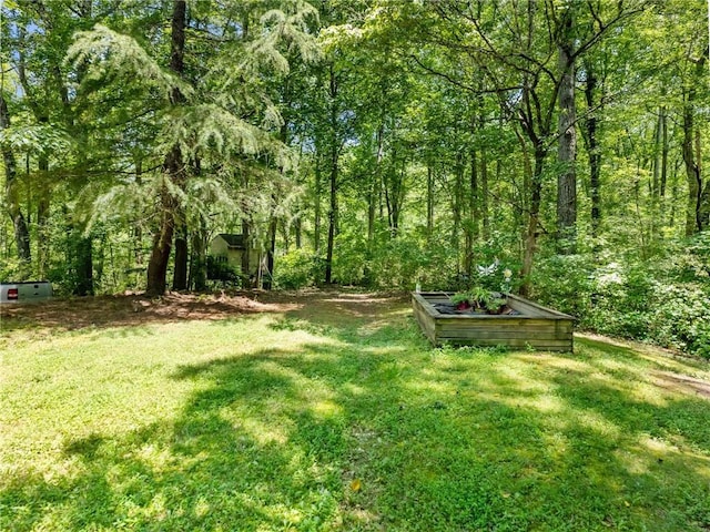 5020 Bayberry Dr, Cumming, GA 30040 - view of grassy yard featuring a view of trees and a vegetable garden